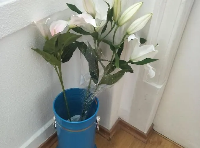 אכסניה Swisslisbon ליסבון