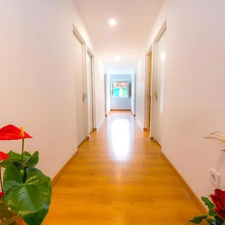 بيت شباب Swisslisbon *