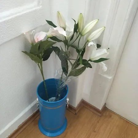 Hostel Swisslisbon Lissabon