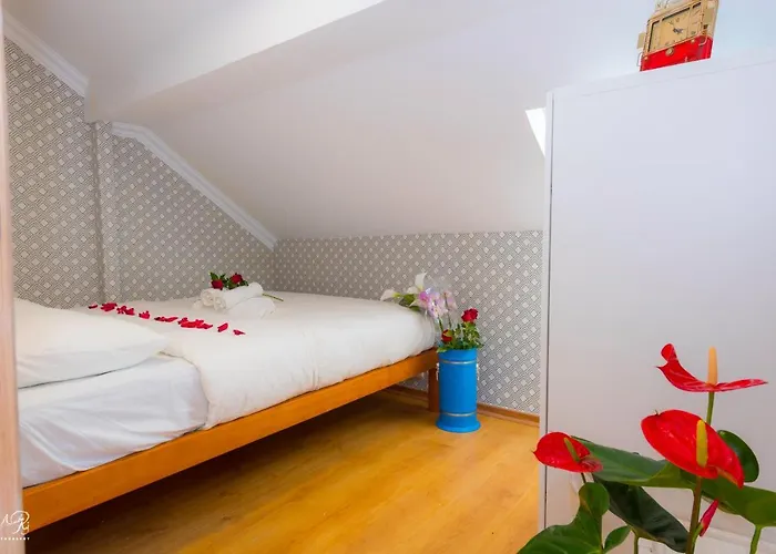 Swisslisbon بيت شباب Lisboa